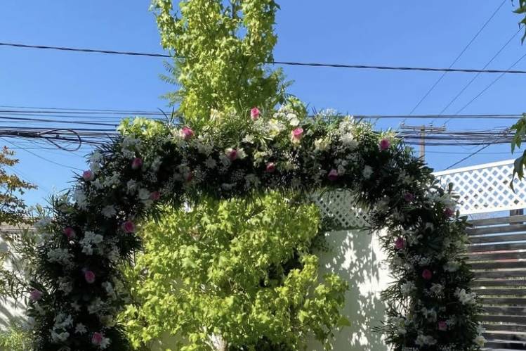 Arco 100% natural