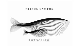 Nelson Campos Ros logo