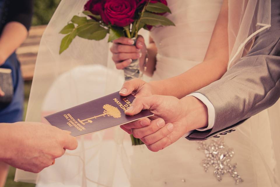 Novios Fotografía