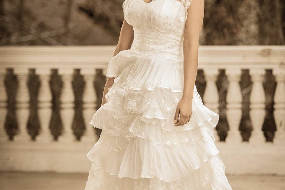 Bellos retratos de la novia