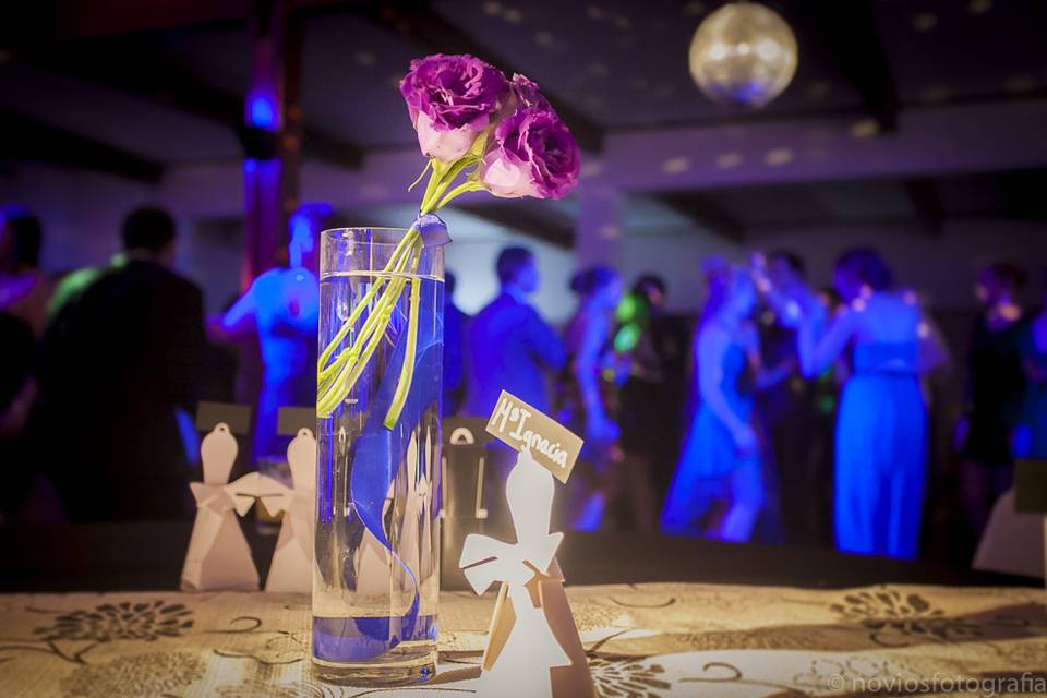 Novios Fotografía