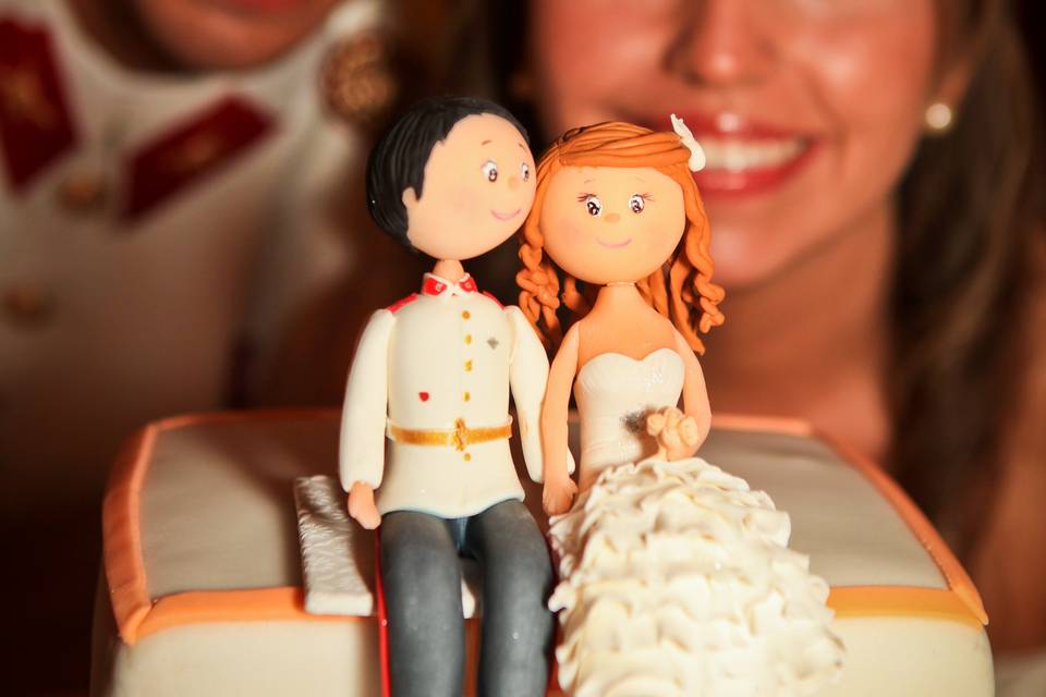 Novios fotografía