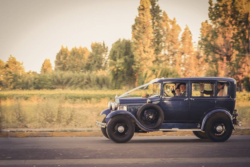 Novios Fotografía