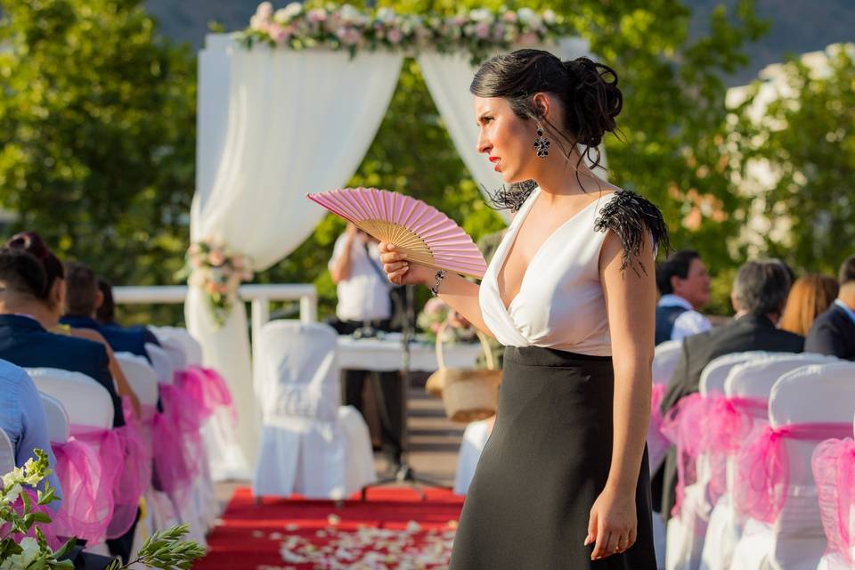 Novios Fotografía