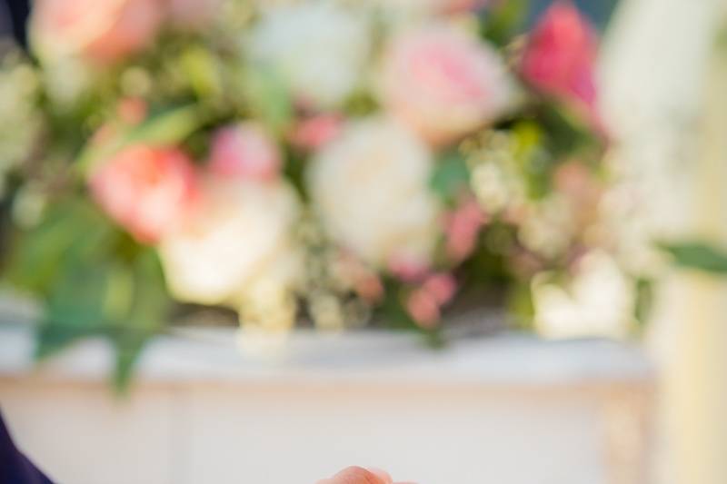 Novios Fotografía