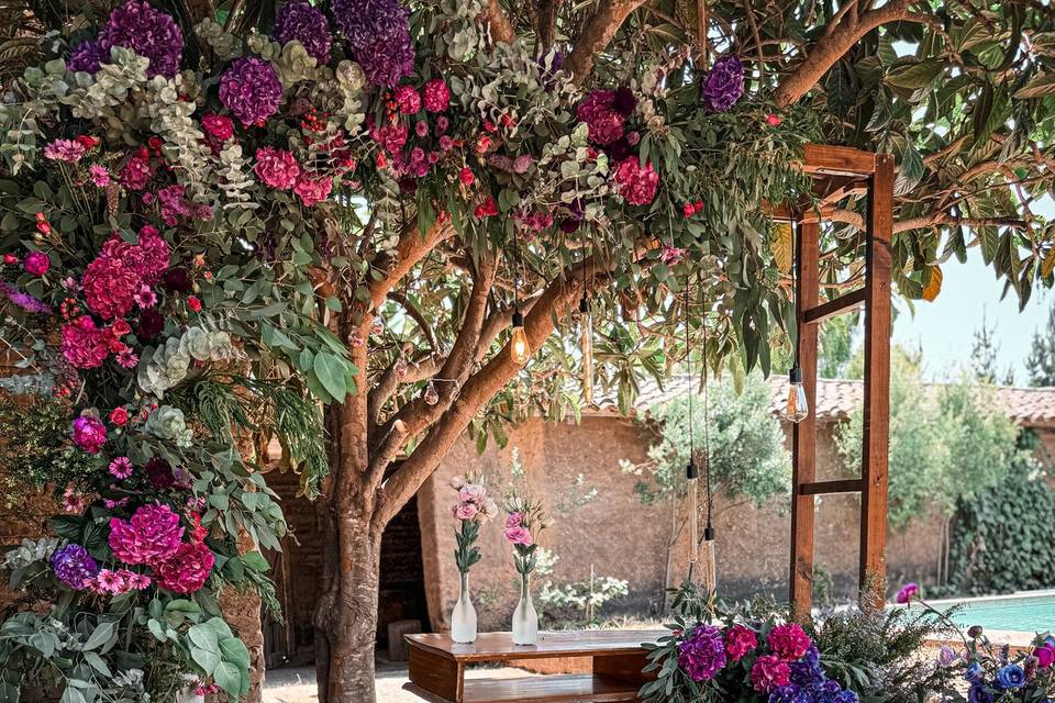 Altar colores