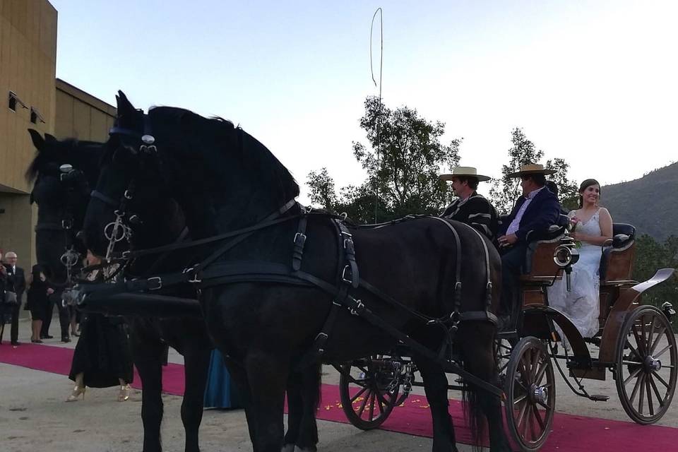 Coche de Caballo