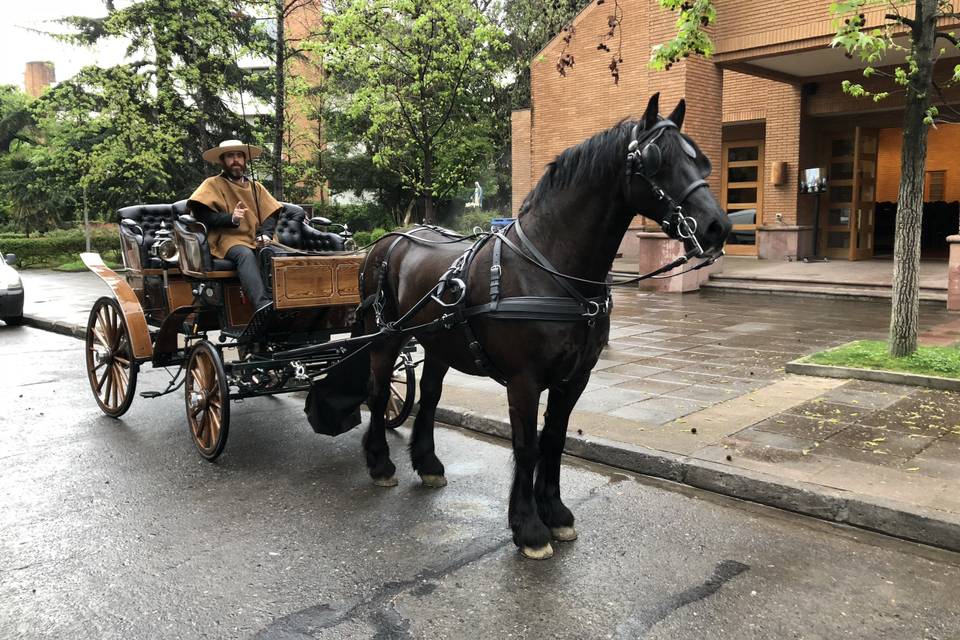 Coche de Caballo