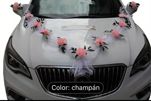 Color champán