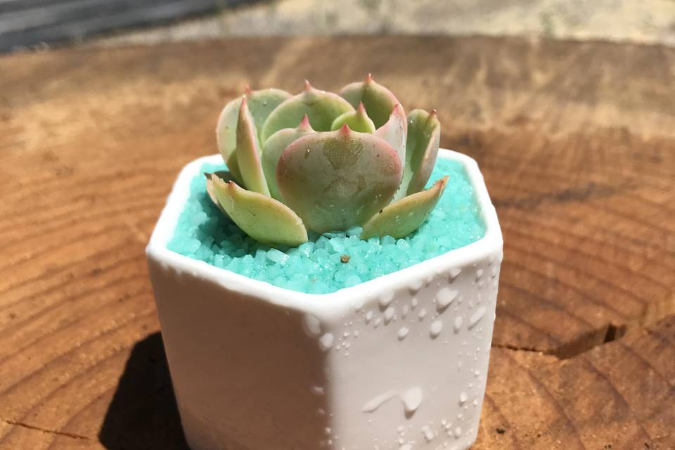 Souvenir cerámica hexagonal