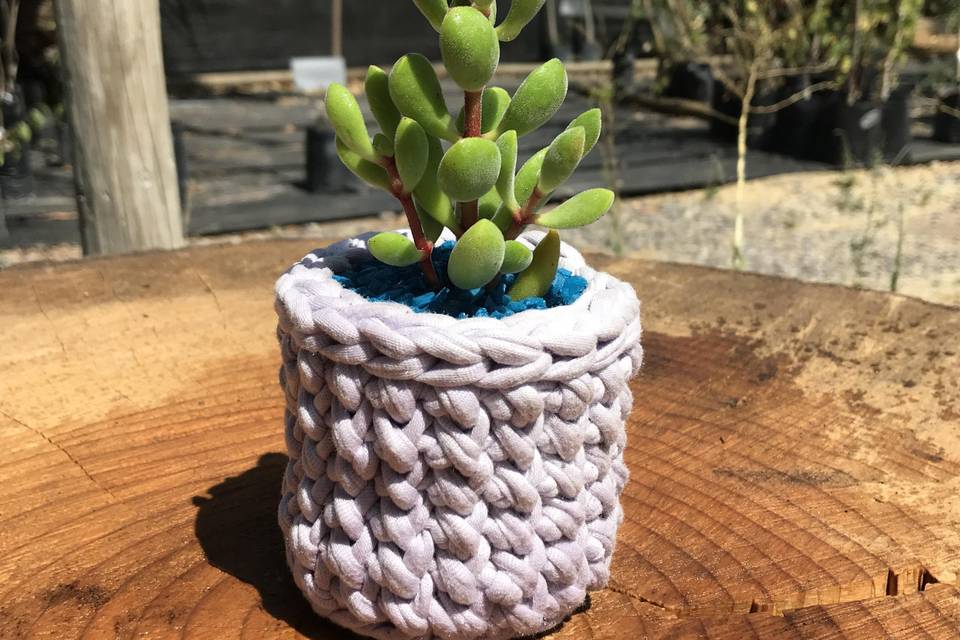 Souvenir Trapillo