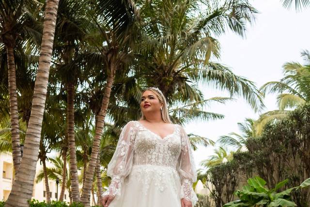 Novias XL Consulta disponibilidad y precios