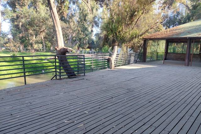 Parque Mallinco
