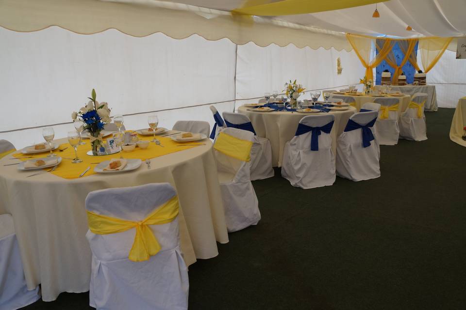 Matrimonio amarillo y azul