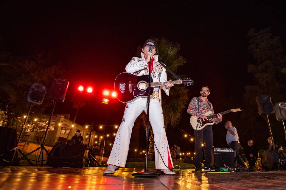 Hound Dogs - Tributo a Elvis Presley