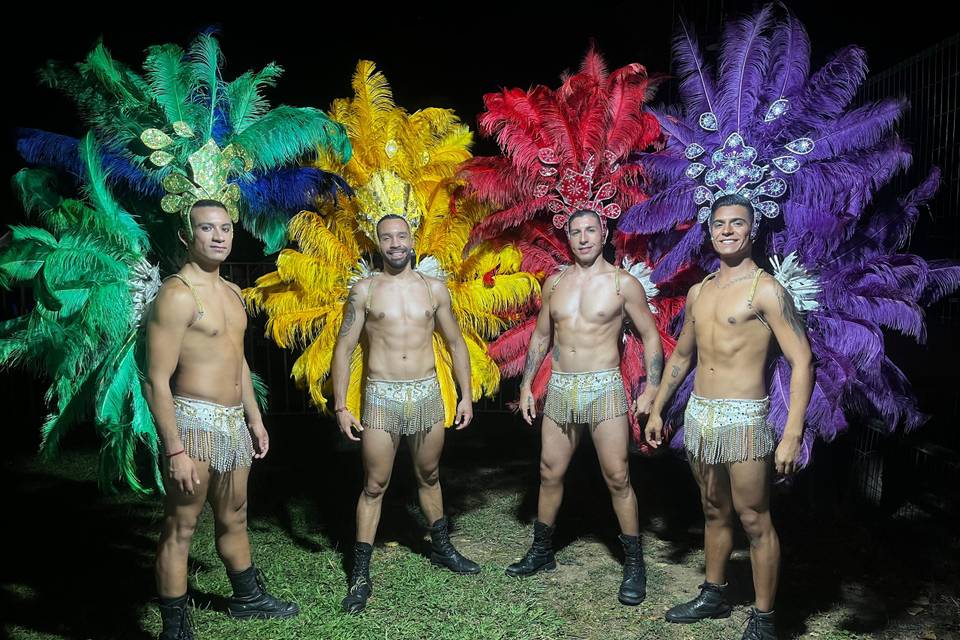 Carnaval Brasil