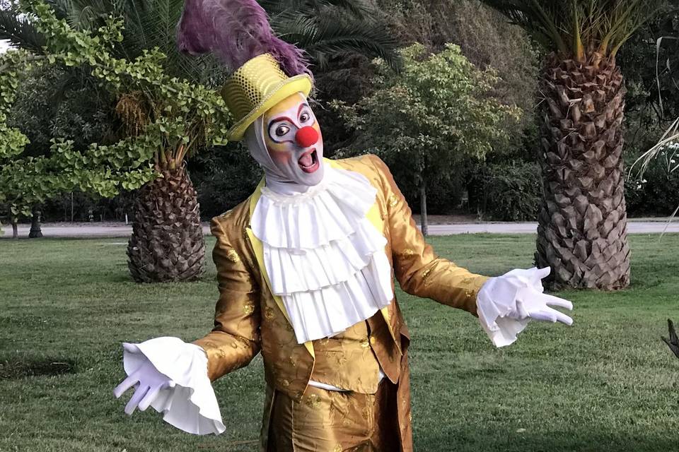 Circus