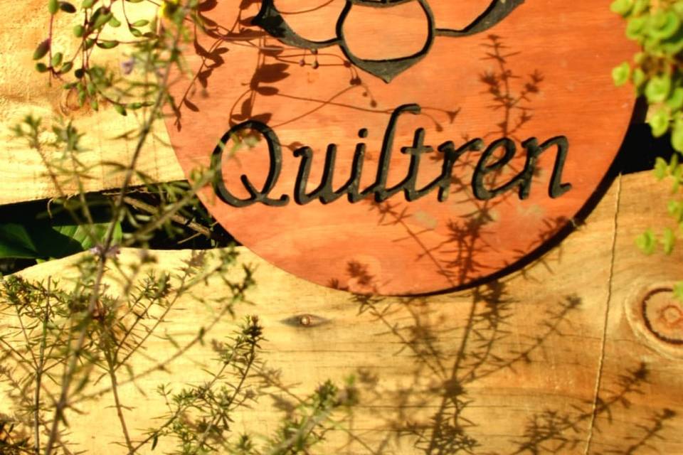 Logo Cactuario Quiltren