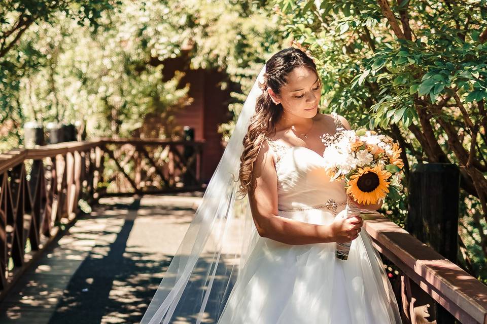 Sesión post boda parque