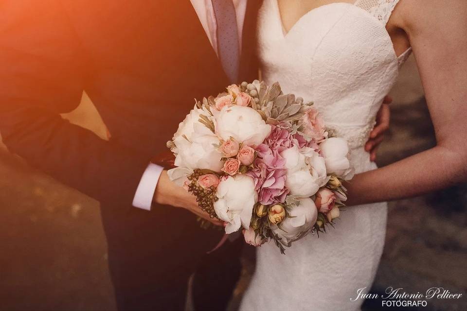 Fotografía de novios