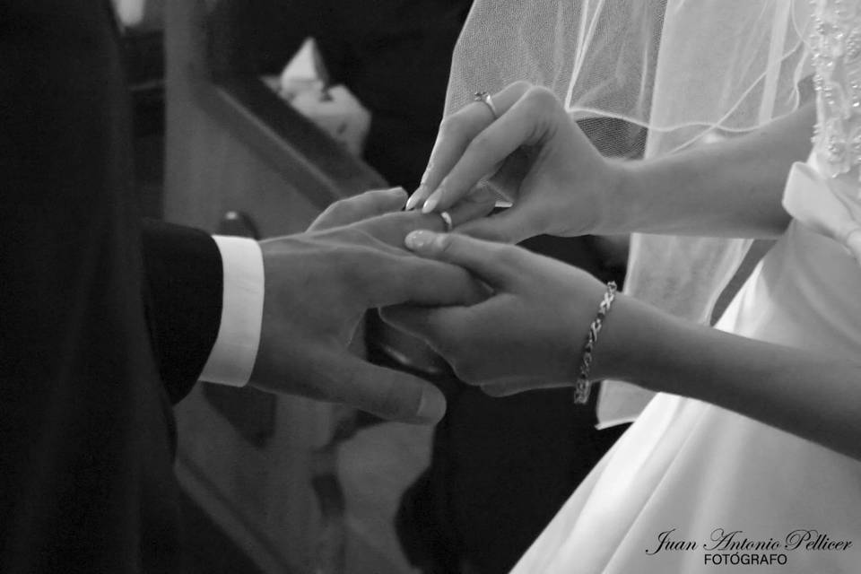 Fotografía de novios