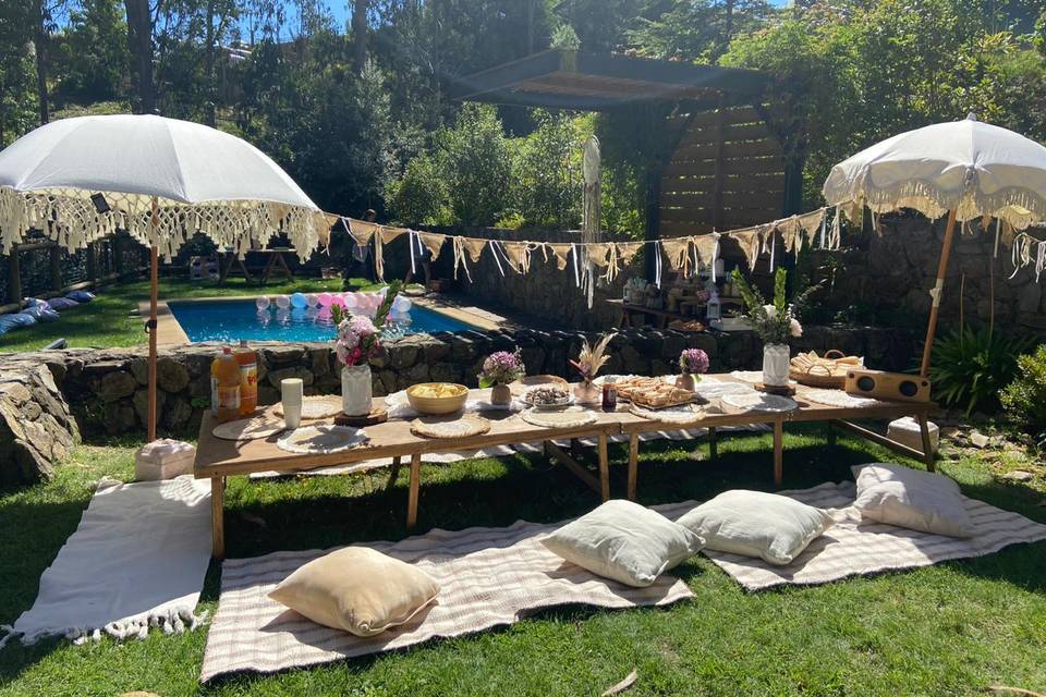 Zona picnic