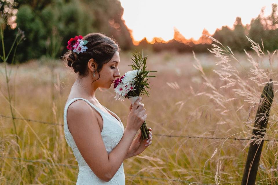Novias