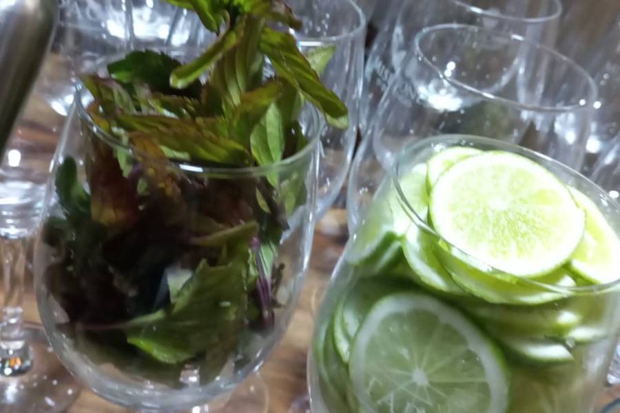 Garnish menta y limón