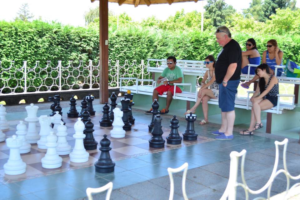 Otra gran partida de ajedrez