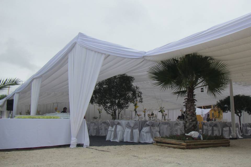 Carpa blanco