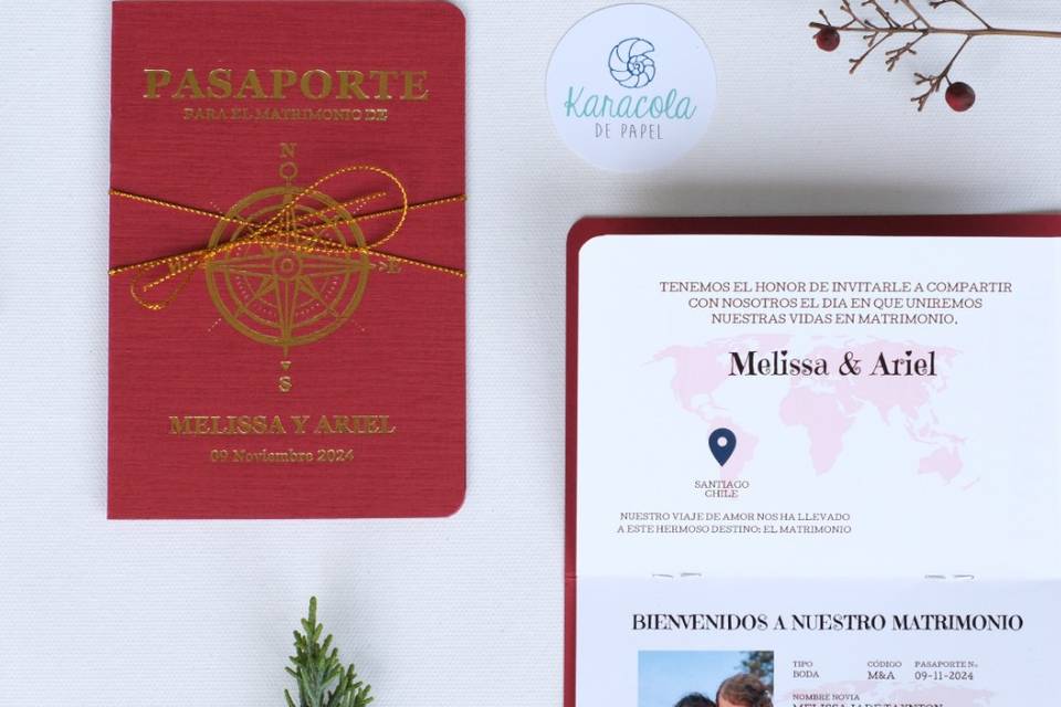 Invitación de pasaporte