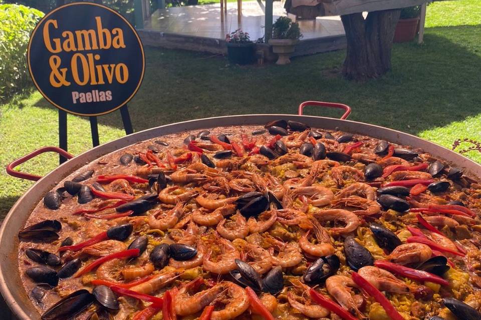 Gamba y Olivo