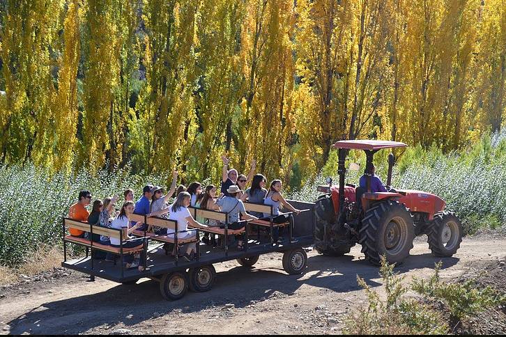 Paseo en tractor