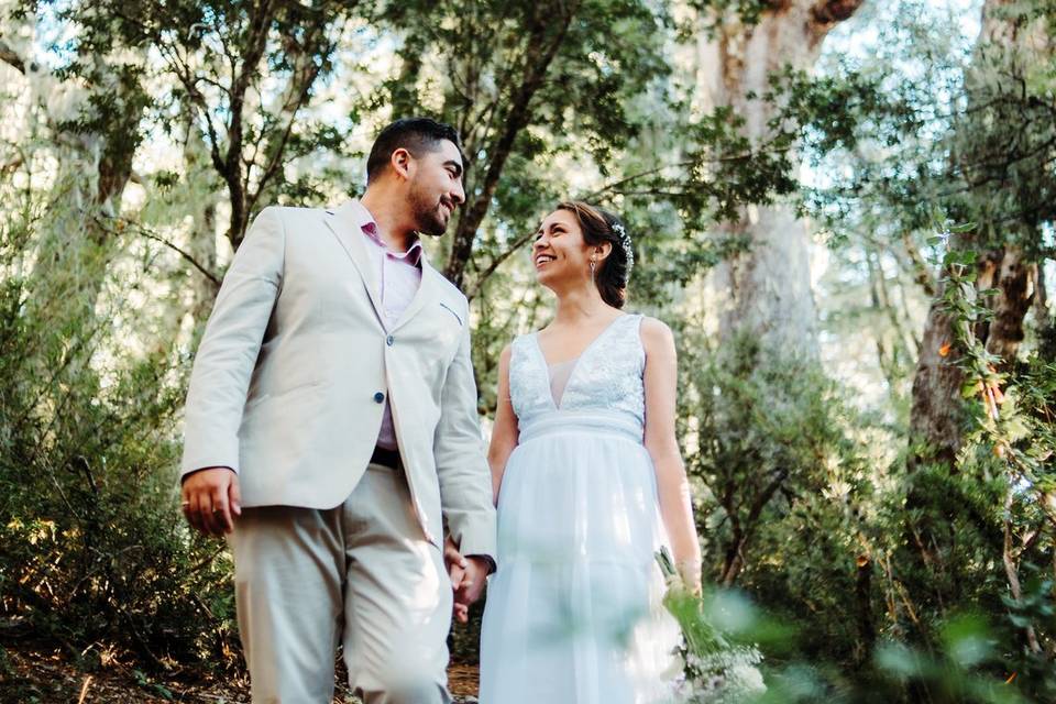 Postboda Bosque