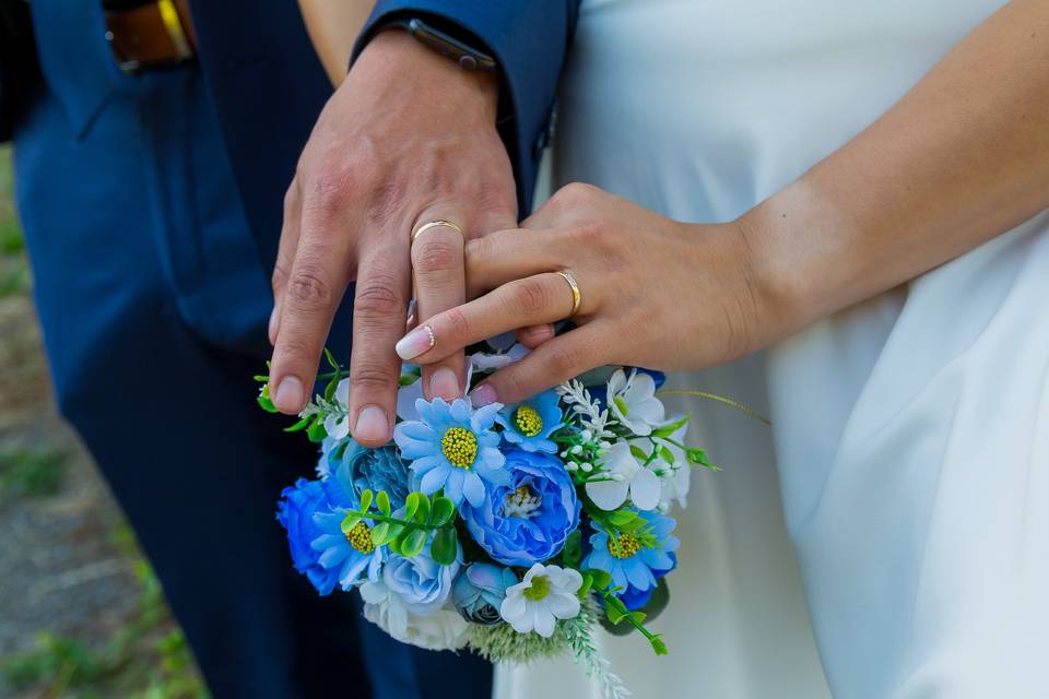 Stefy & Henry anillos