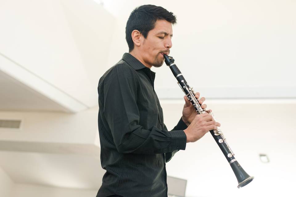 Alfonso Vergara, clarinetista