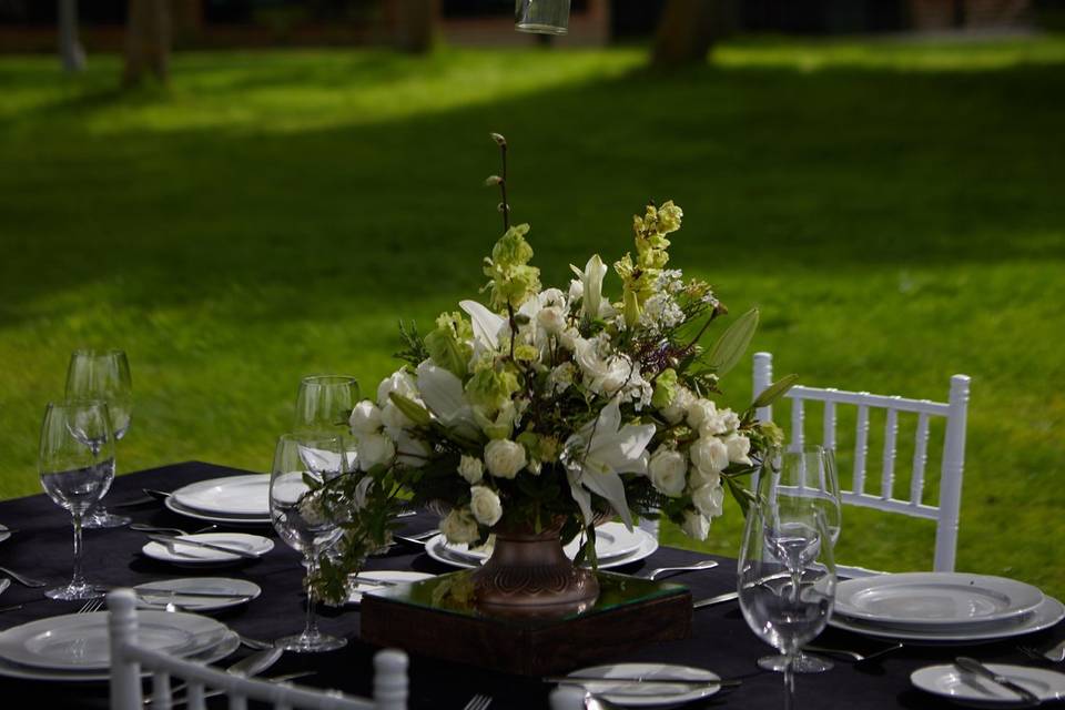 Verbena Eventos