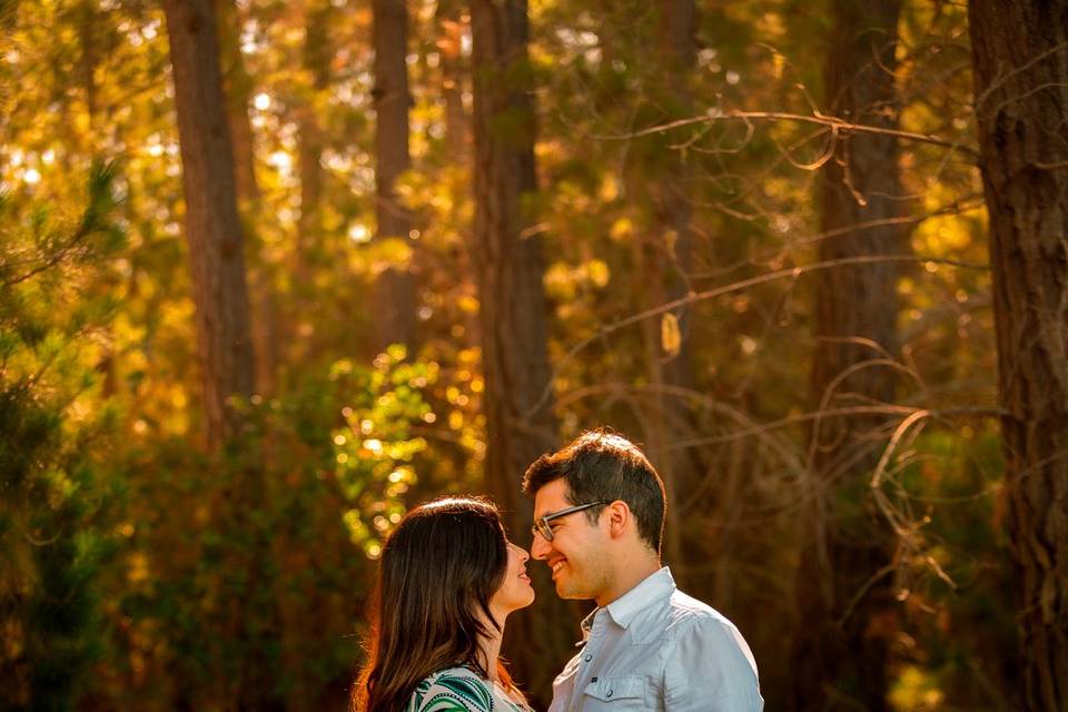 Preboda barbara & martín