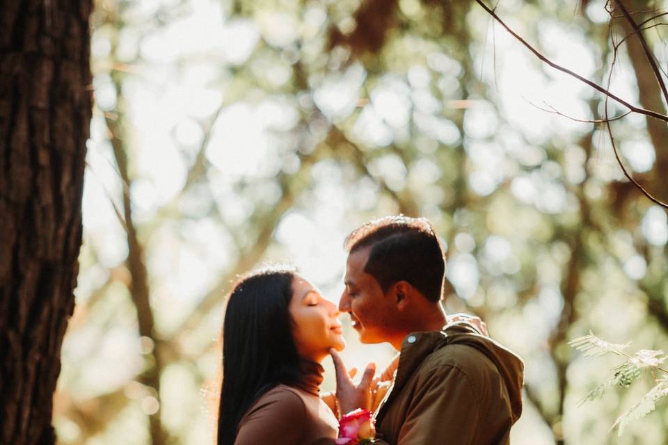 Preboda paola & romer