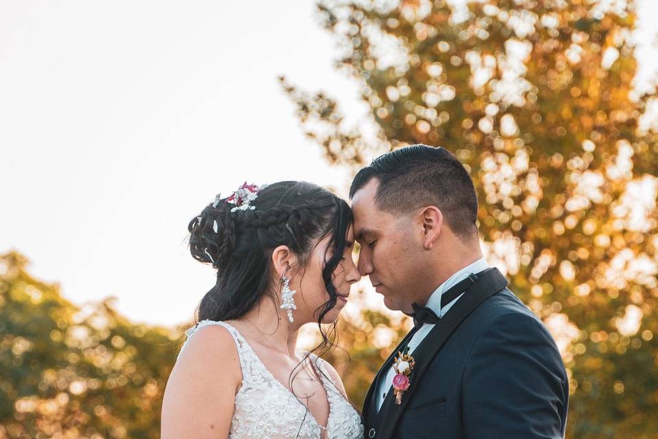 Boda de Bárbara y Fabián