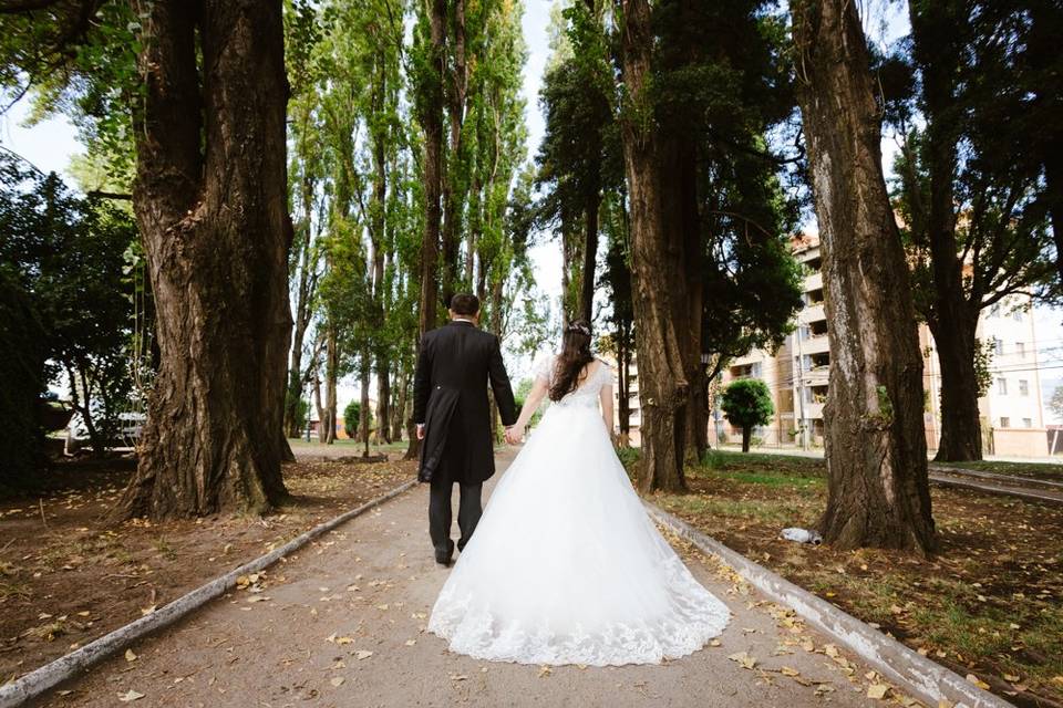 Camino a la celebración