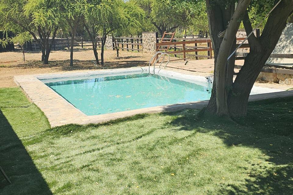 Jardin