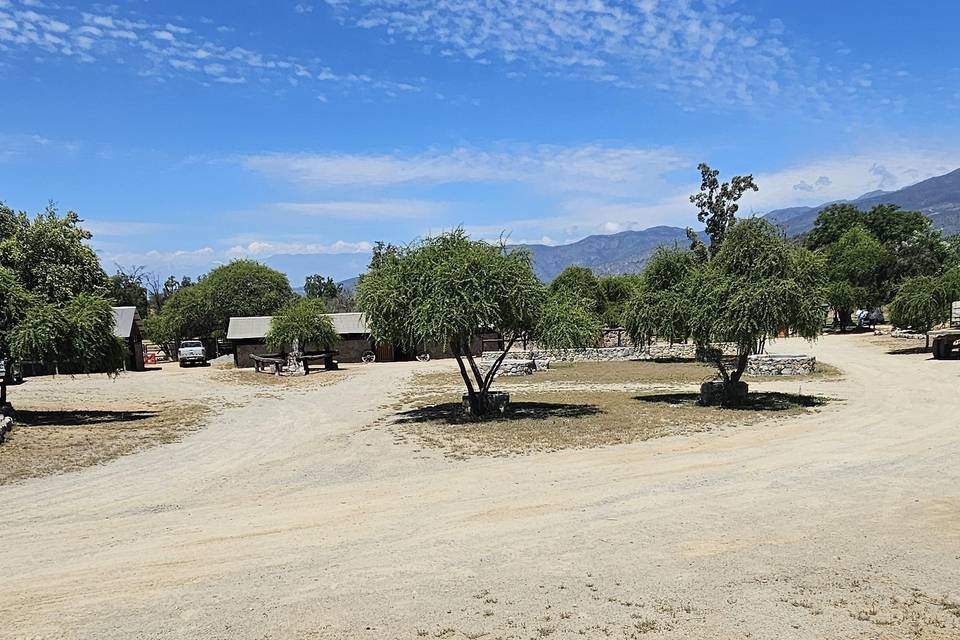 Terraza