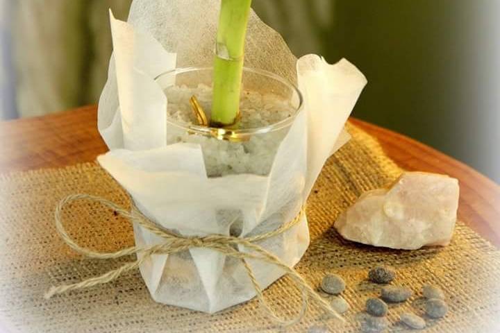 Varita Lucky bamboo en vidrio