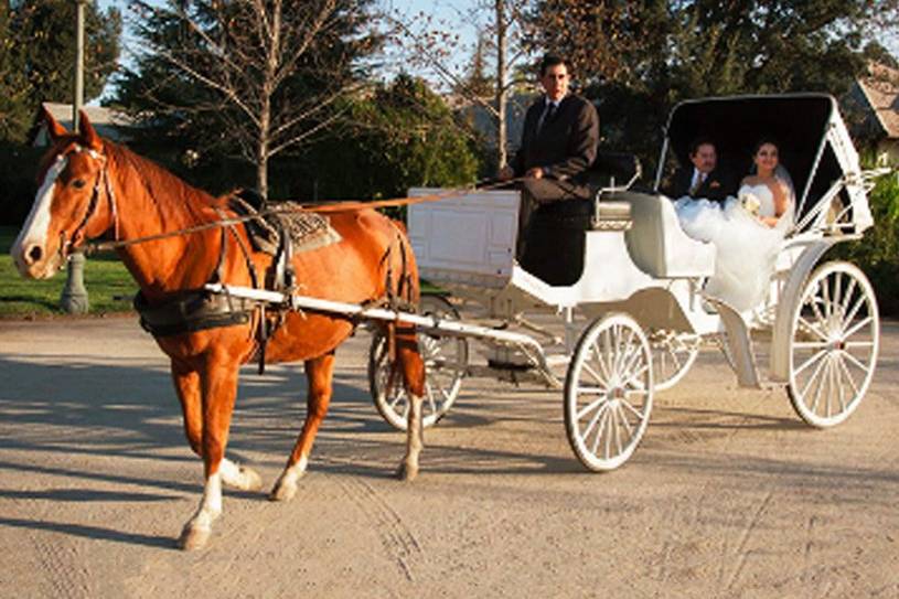 Carrocería y autos de boda