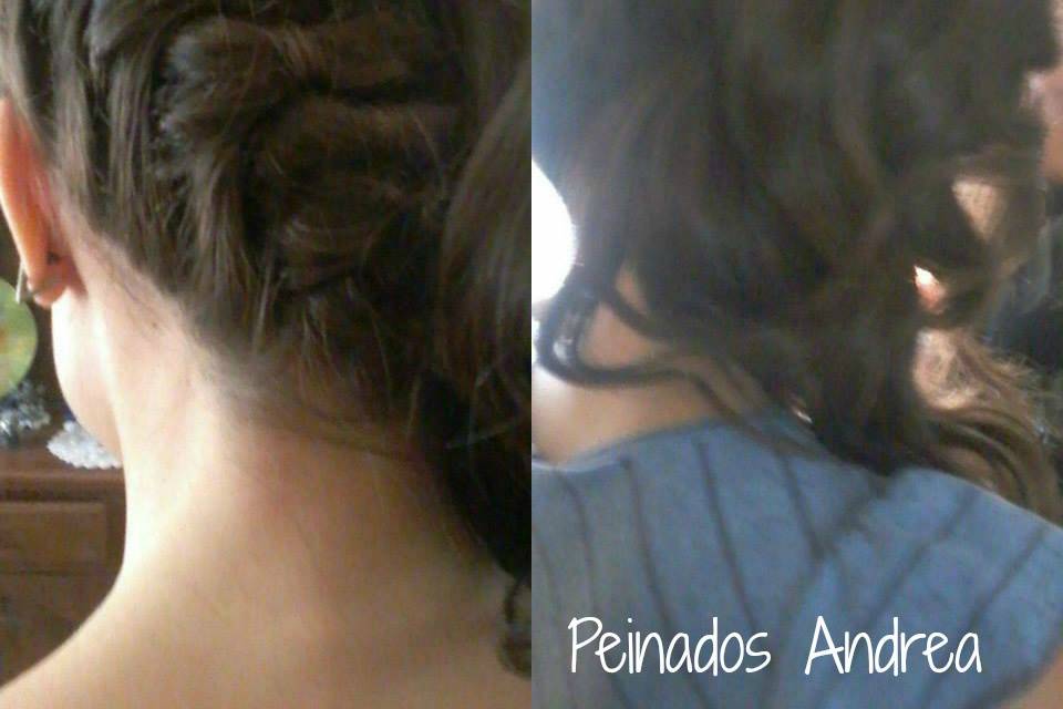 Peinado invitada by Andrea