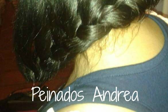 Peinados Andrea