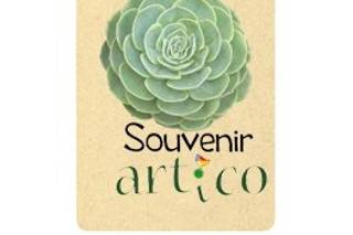 Souvenir Ártico logo