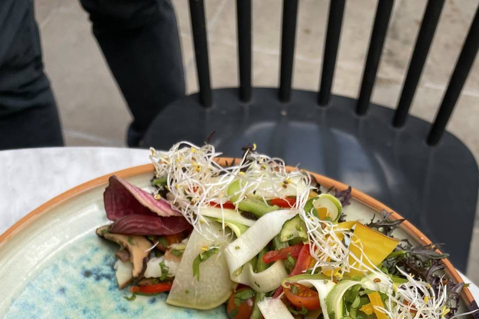 Platos de autor