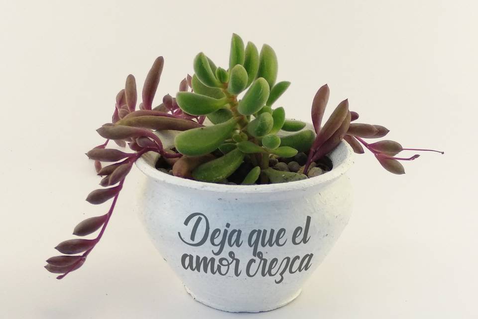 Recordatorio Arcilla Tipo Text